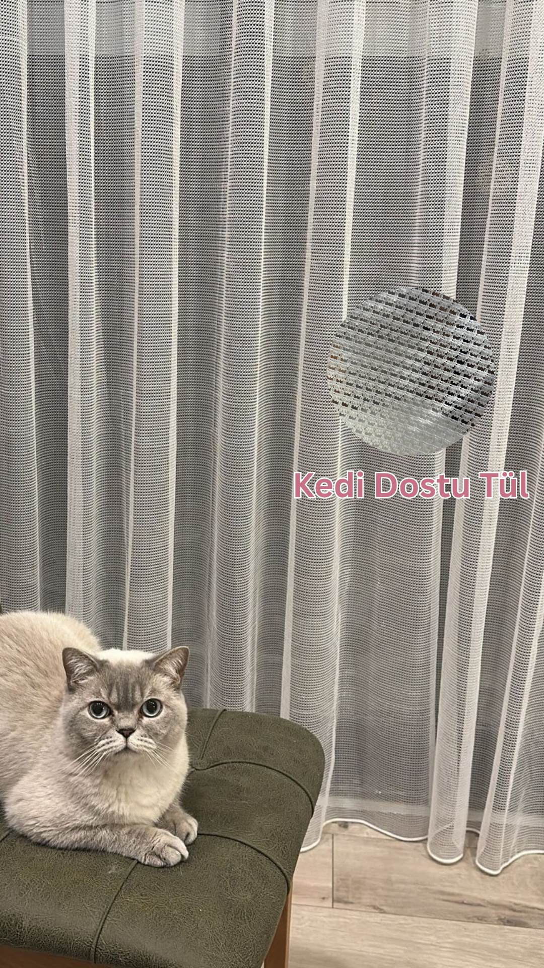Kedi Dostu Tül Perde
